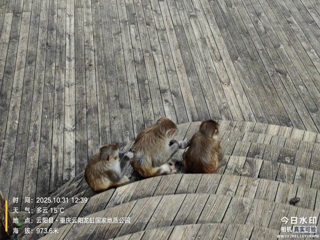 重庆云阳龙缸国家地质公园旅行图片 5