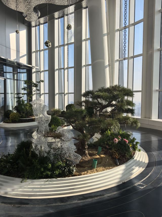 新天地绿地旅行图片 3