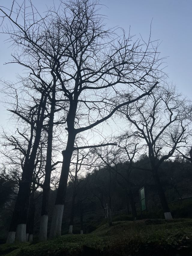 八都岕八都堰旅行图片 1