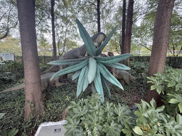 上海顾村公园旅行图片 1