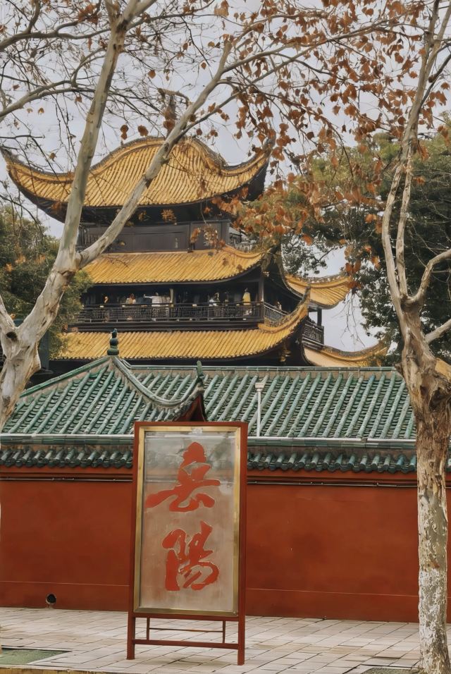 君山岛景区旅行图片 2