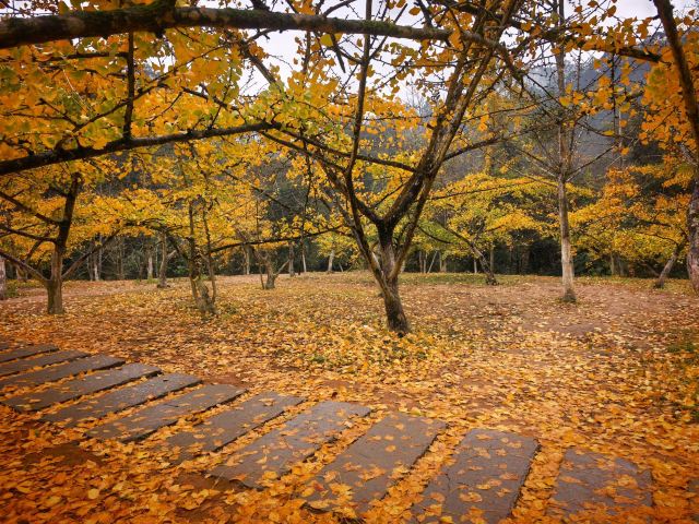 南雄帽子峰旅游景区旅行图片 2