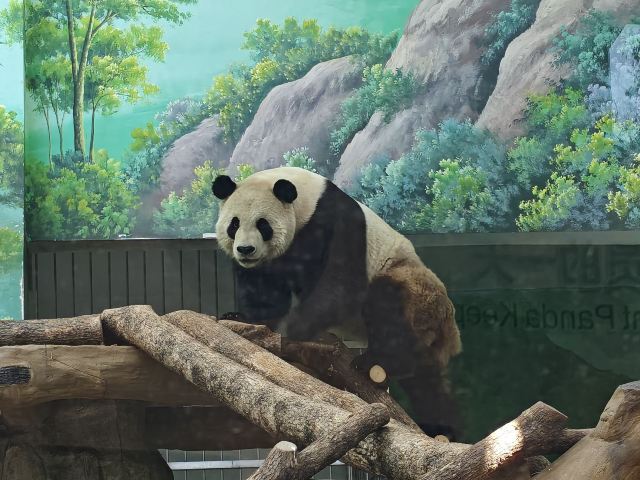 温州动物园旅行图片 1