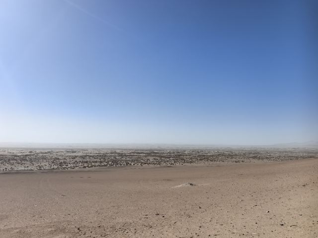 阳关关城旅行图片 2