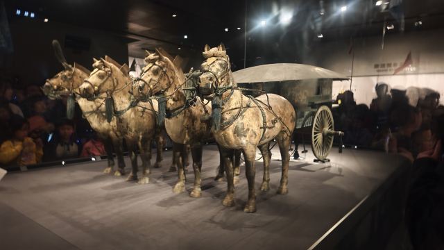 秦始皇帝陵博物院旅行图片 5