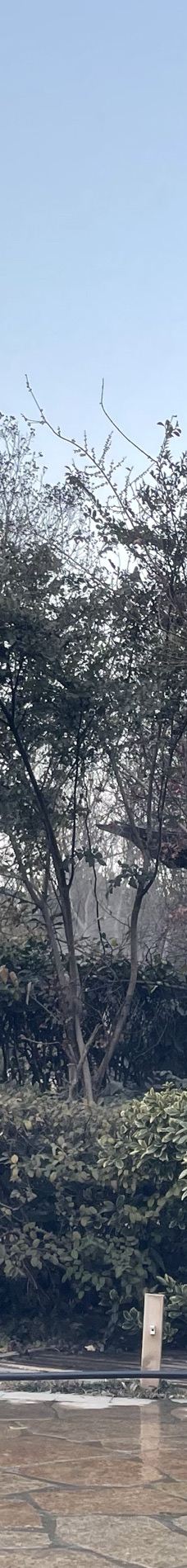 南京-YoYo_0U4H0O7Z