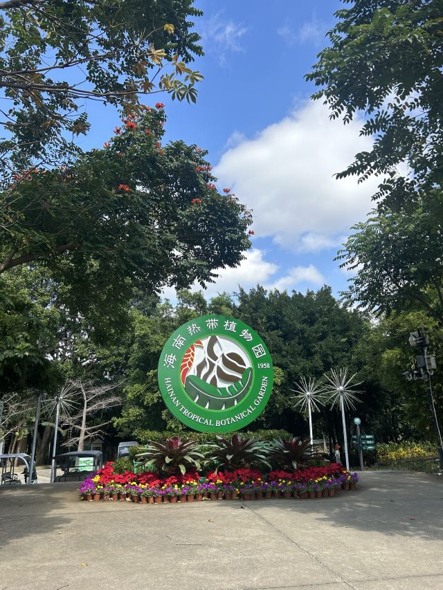 海南热带植物园旅行图片 3