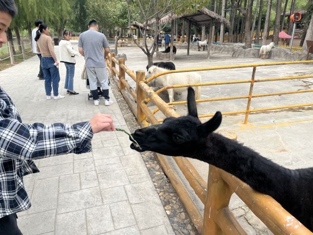 武汉野生动物王国旅行图片 5