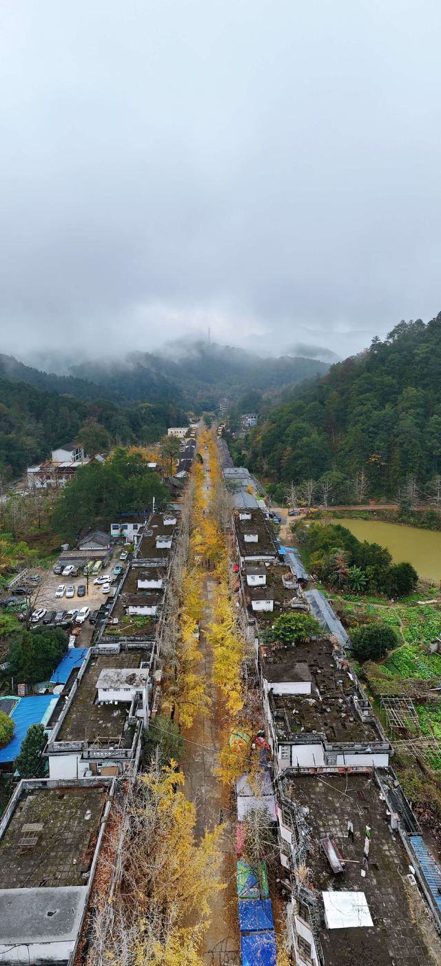 南雄帽子峰旅游景区旅行图片 6