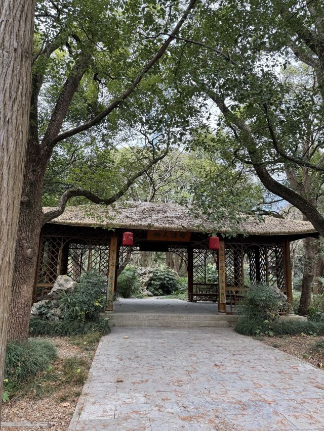 啬园旅行图片 2