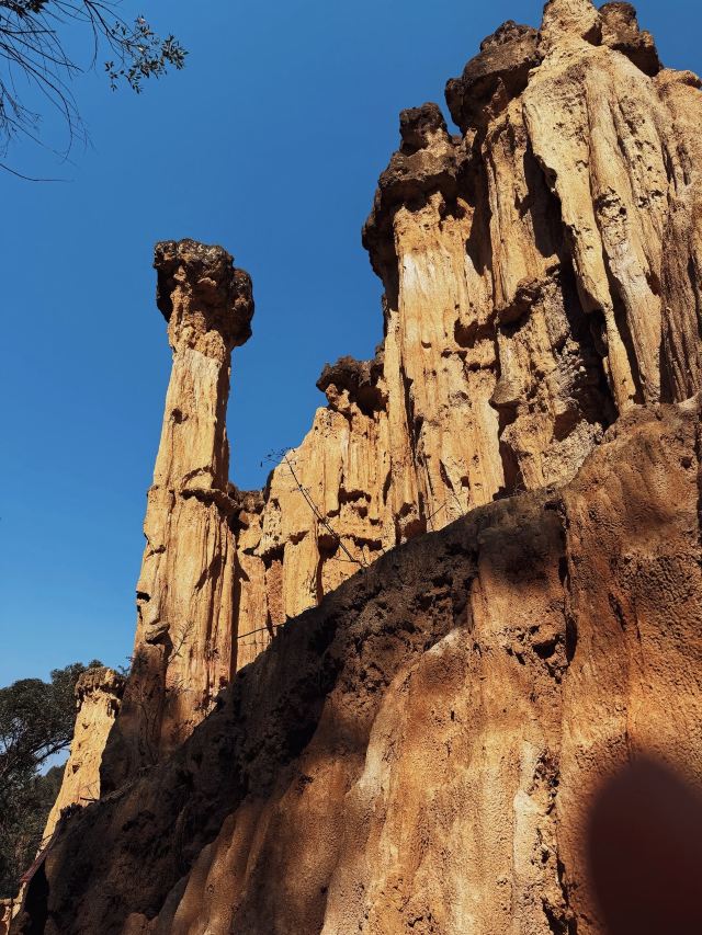 土林旅行图片 5
