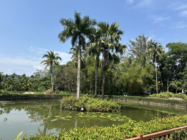 兴隆热带植物园旅行图片 1