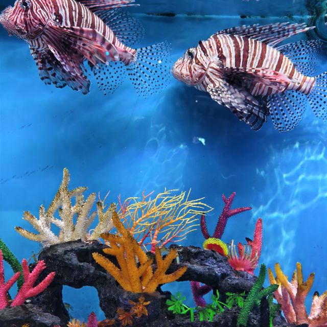 昆明海趣花都海洋世界旅行图片 8
