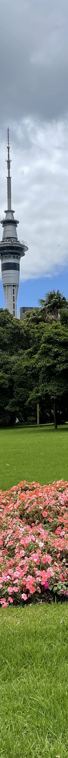 天空塔-奥克兰