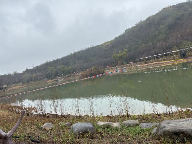苏州乐园森林世界旅行图片 1