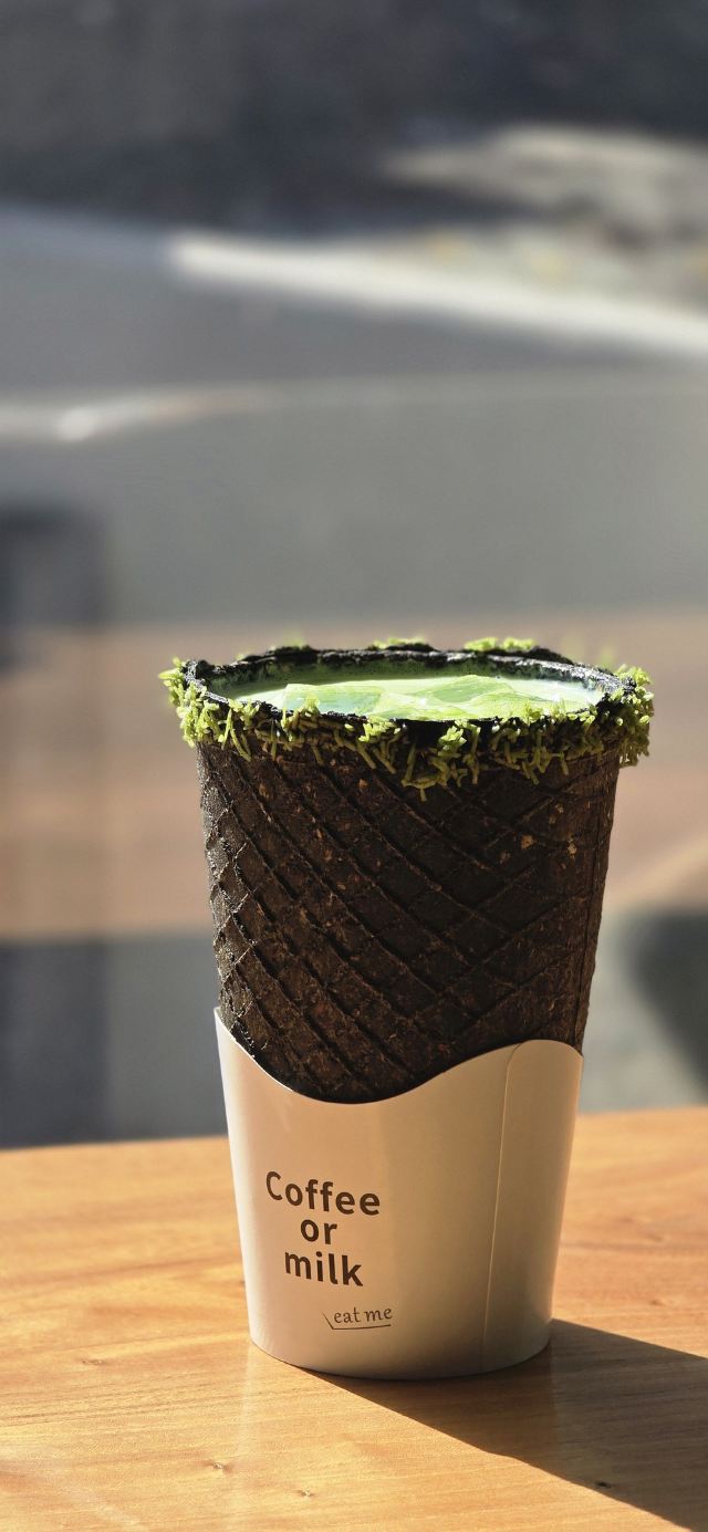 重庆动物园旅行图片 6
