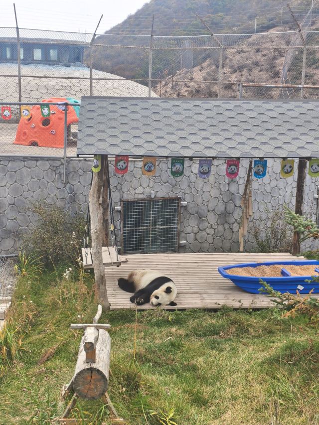 林胡古塞旅行图片 3