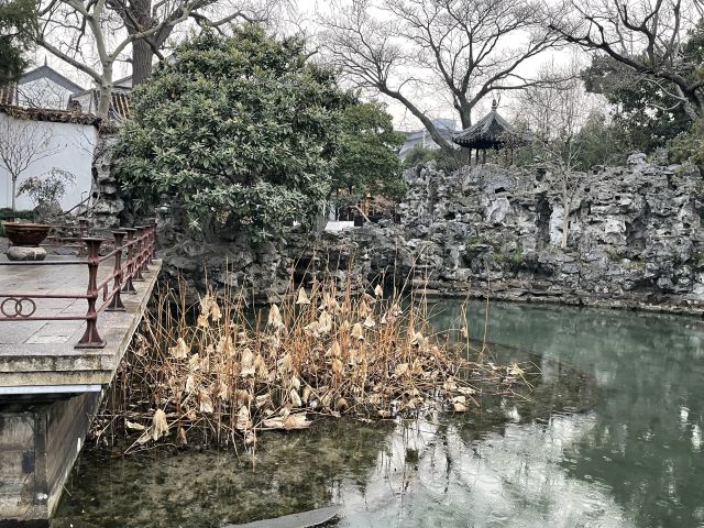 怡园旅行图片 2