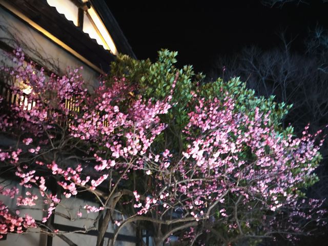 拈花湾·禅意小镇旅行图片 3