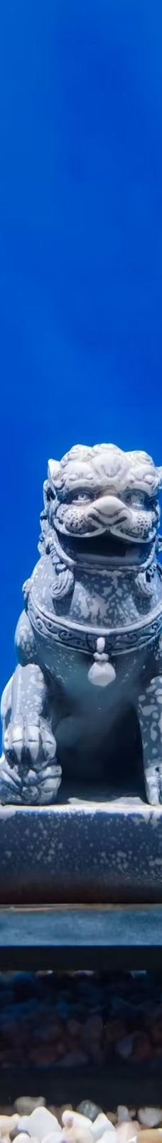 合肥海洋世界-合肥-Ll.䢋