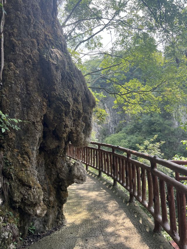 洒金公园旅行图片 5