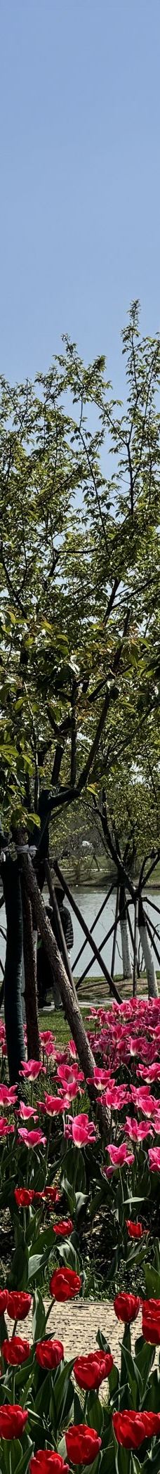 宁波植物园-宁波-丁丁丁大