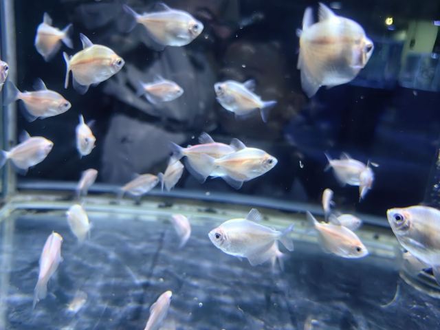中国·江豚湾旅行图片 3