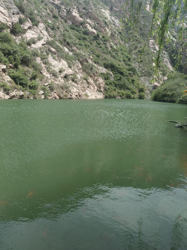 牛魔王逍遥谷-第一服务区旅行图片 3