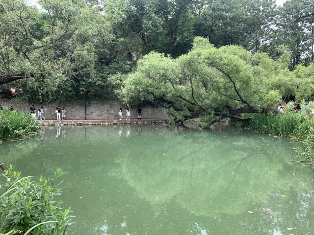 范公亭公园旅行图片 5