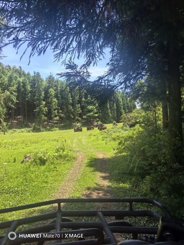 水城国家杜鹃公园旅行图片 2