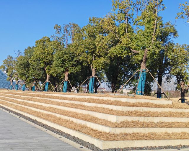 隋炀帝陵遗址公园旅行图片 3