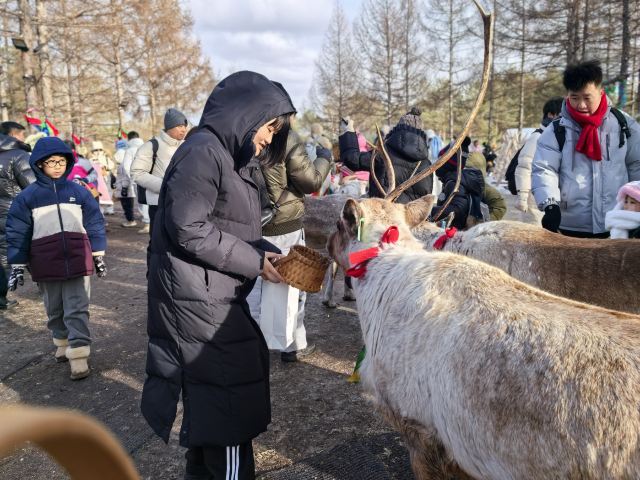 长白山雪绒花驯鹿园旅行图片 4