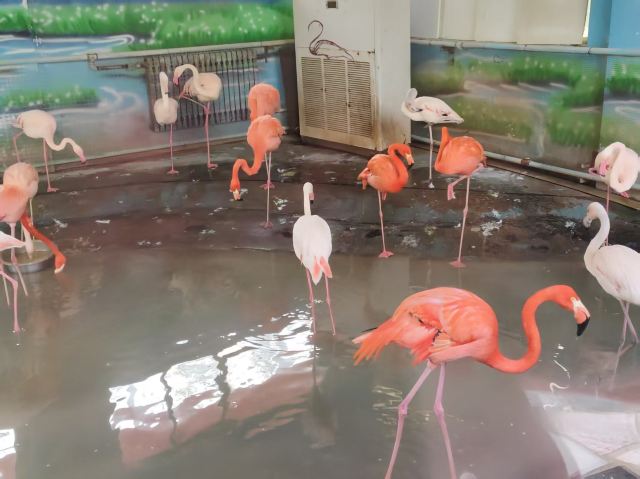 西安秦岭野生动物园旅行图片 1