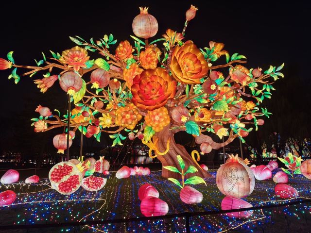 大唐芙蓉园旅行图片 5