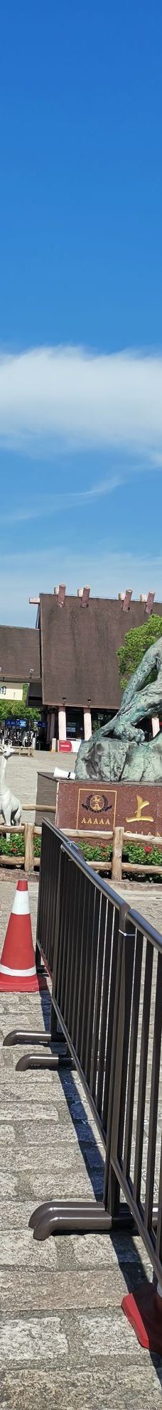 上海野生动物园-上海-YoYo_3Q8Y2H6I