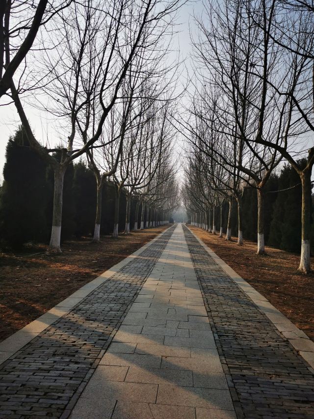 明祖陵旅行图片 3