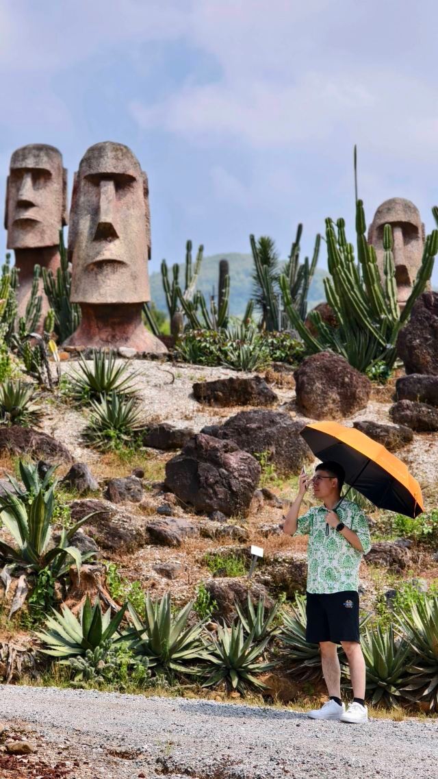 仙人掌王国旅行图片 3
