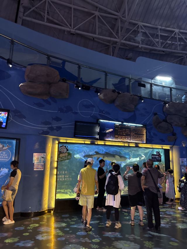 青岛大珠山景区旅行图片 3