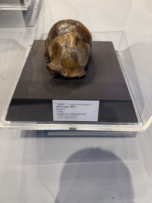 周口店遗址博物馆旅行图片 2