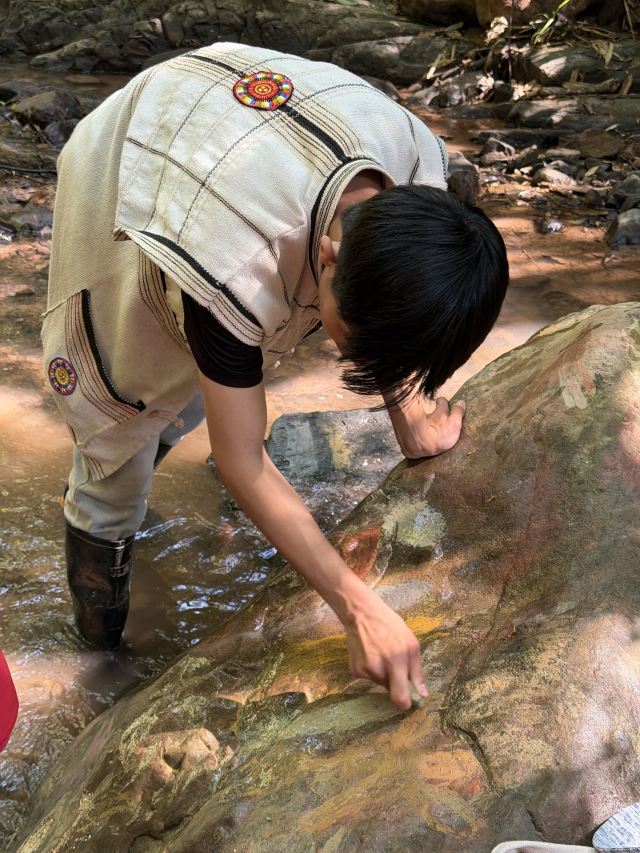 基诺山巴朵村雨林徒步旅行图片 1