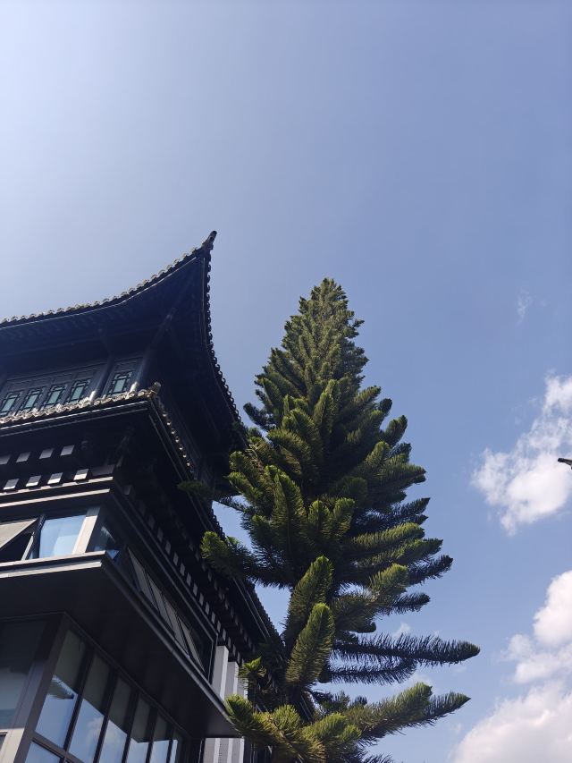 云南民族村旅行图片 1