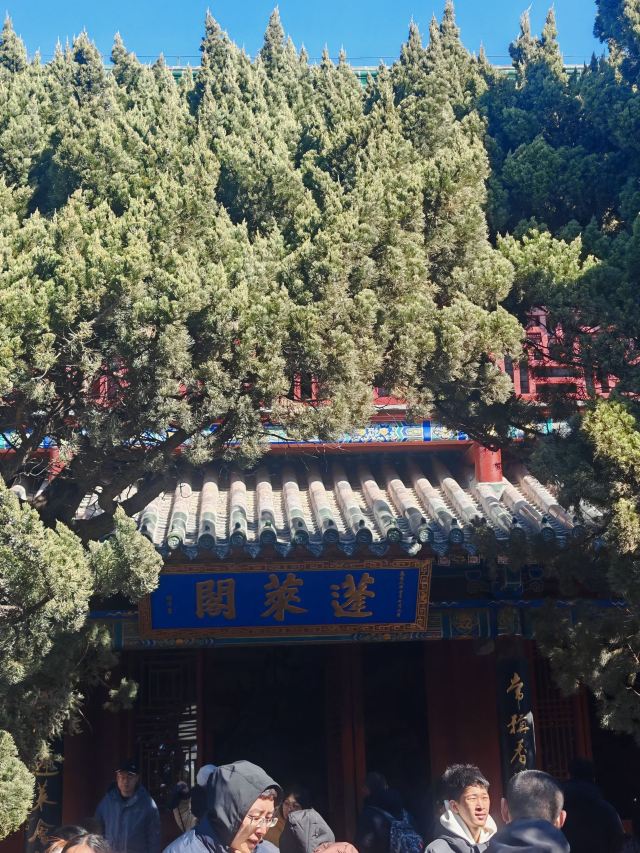 蓬莱阁景区旅行图片 6