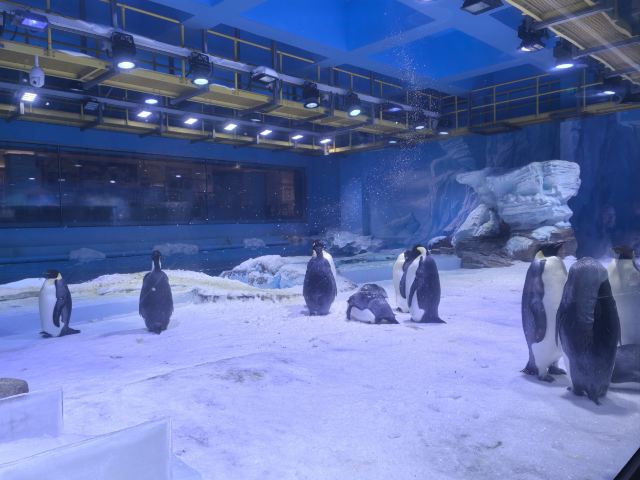 郑州海昌海洋公园旅行图片 2