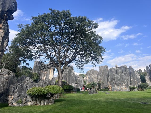 石林风景区旅行图片 5