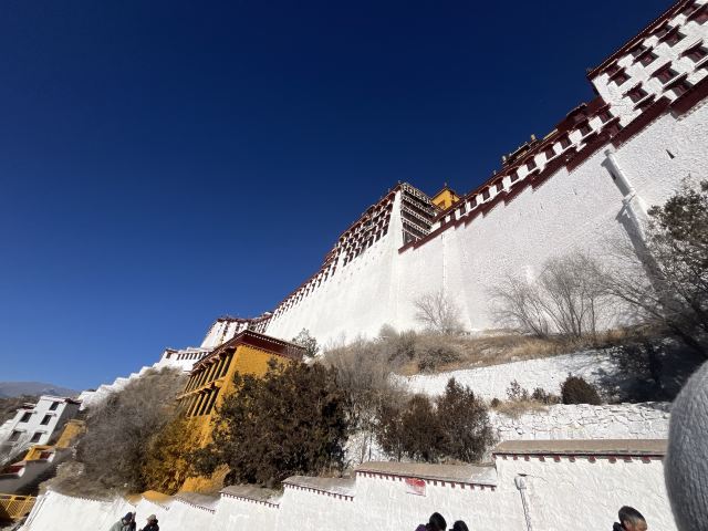 布达拉宫旅行图片 1