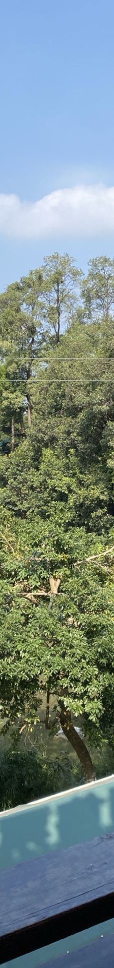 天鹿湖森林公园-广州-YoYo_8H0Q1K0X