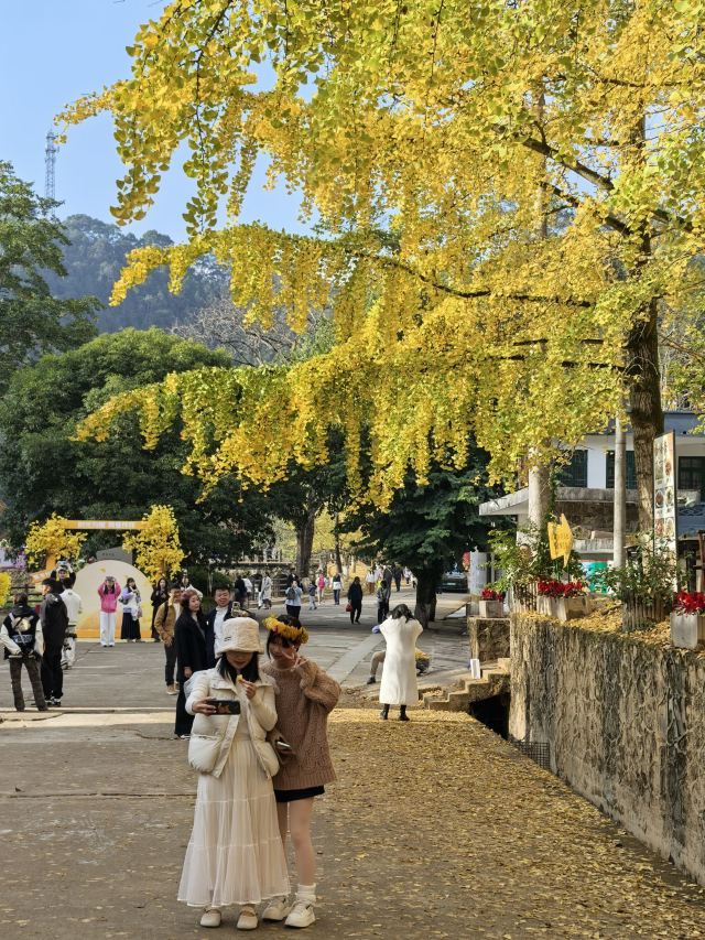 南雄帽子峰旅游景区旅行图片 3