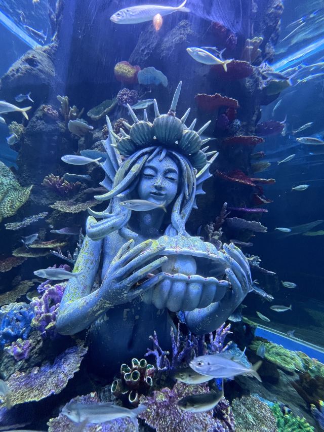 长沙湘江海洋王国旅行图片 1