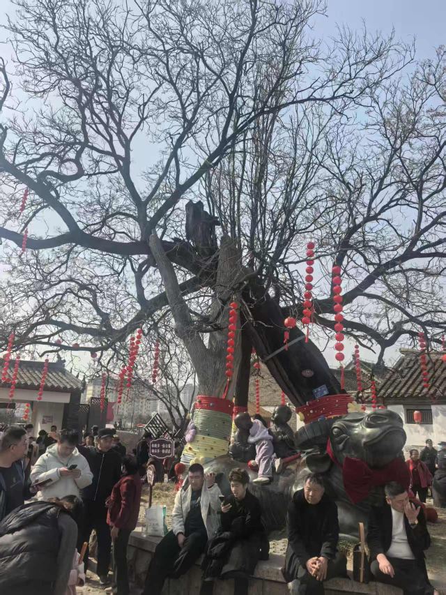 牟氏庄园旅行图片 2
