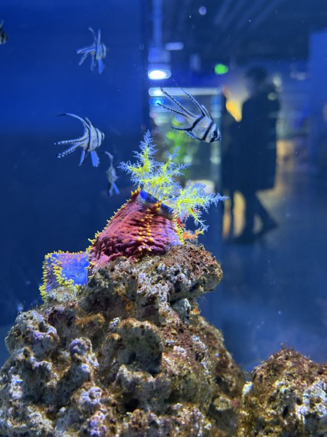 呼和浩特海洋馆旅行图片 1